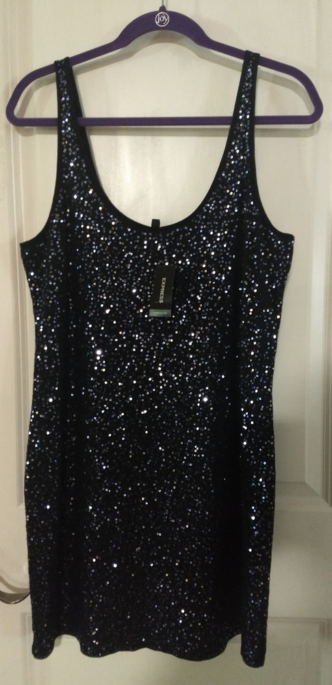 Sequined Mini Dress/Tunic NWT